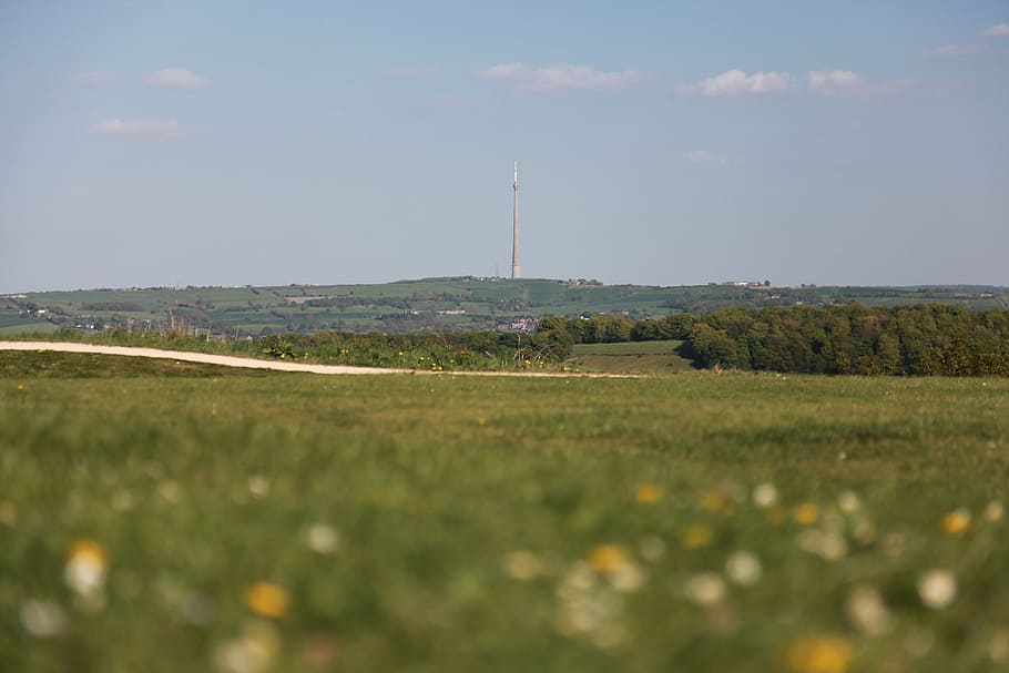 emley, moor, mast, transmitter, grass, cloud, sky, television, tower, west