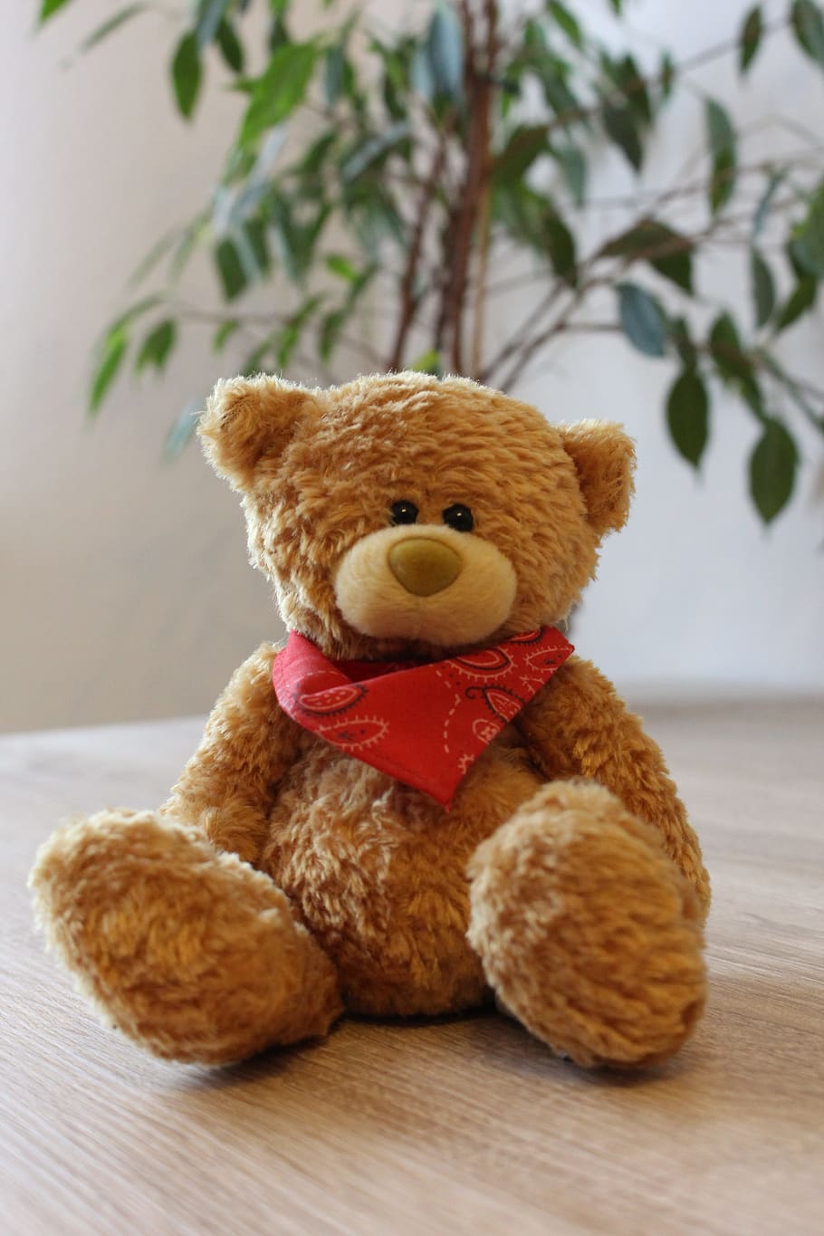 teddy, teddy bear, beruang, mainan, boneka binatang, imut, manis, mewah, boneka mainan, boneka beruang