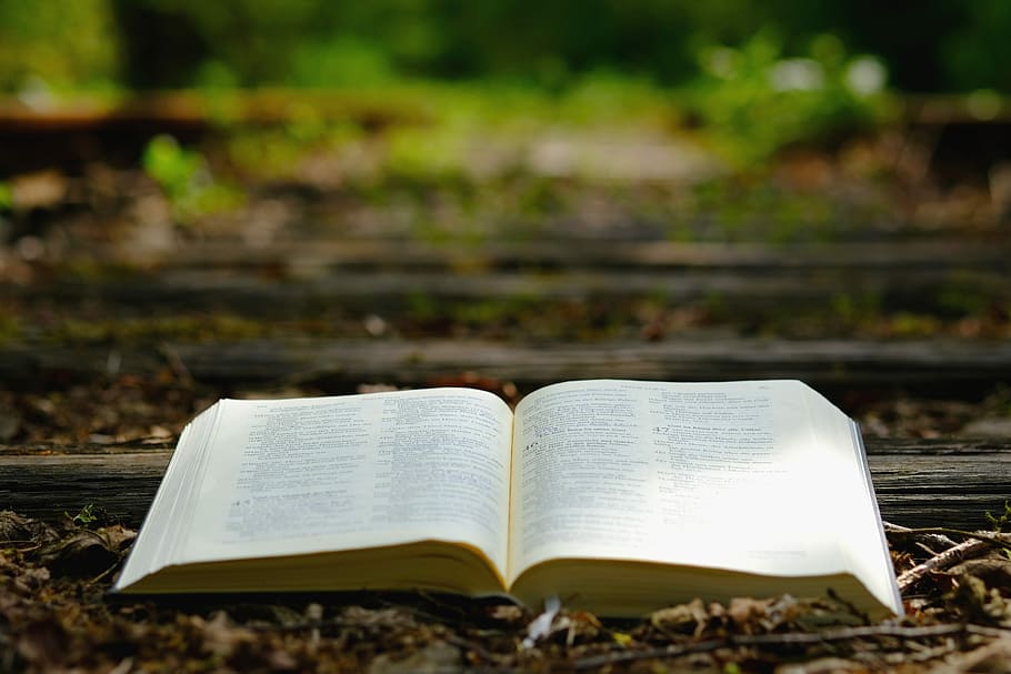 opened, boon, ground, bible, god's words, nature, wood, seemed, travel, old