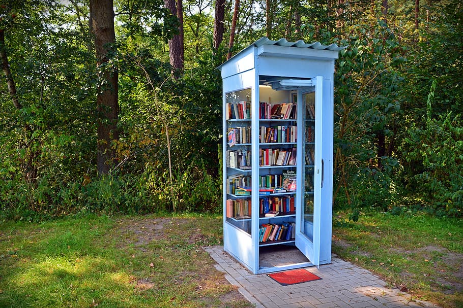 white, wooden, shelf, filled, outdoors, Phone Booth, Books, Borrow, Cell, books cell
