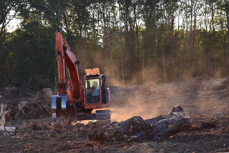 deforestation, machine, truck, industry, vehicle, nature, environment, technology, forest, industrial