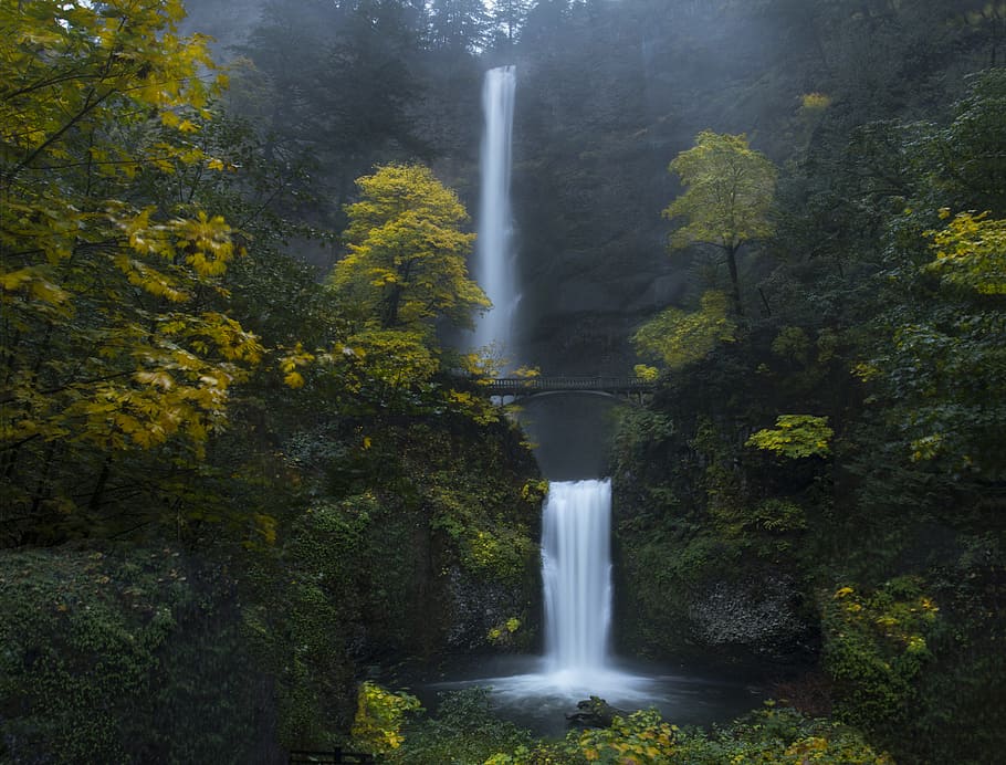 Multnomah, Cataratas, Oregon, outono, cachoeiras, cercado, alto, árvores, dia, cascata