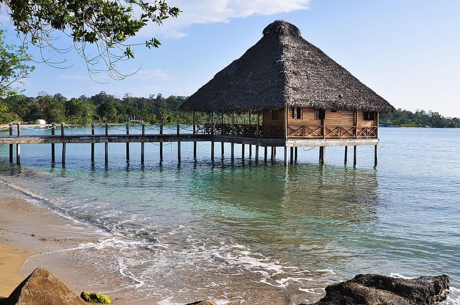 panamá, bocas del toro, arquipélago, ilha, praia, bungalow, caribe, agua, arquitetura, estrutura construída