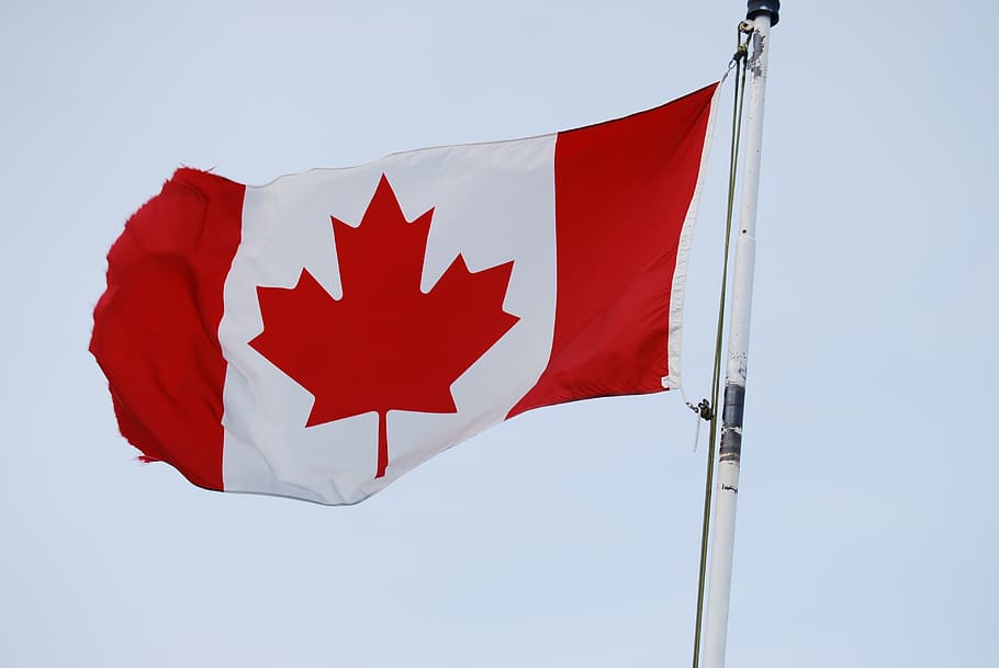 bandeira do canadá, folha de bordo, bandeira, bandeira canadense, vermelho, patriotismo, natureza, vento, dia, folha