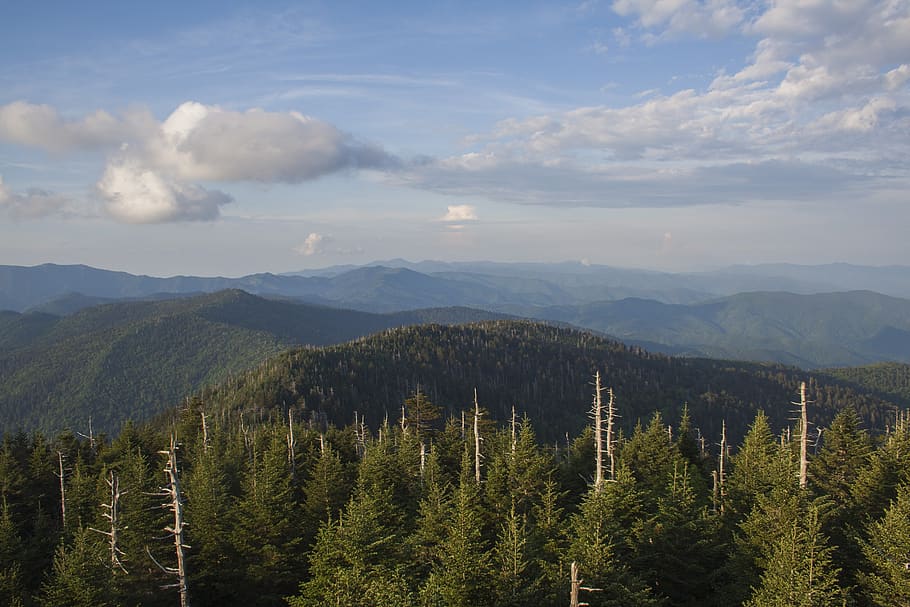 smoky mountains, nature, clingmans dome, mountains, landscape, cloud - sky, beauty in nature, tree, sky, mountain