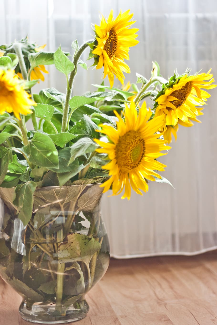 yellow sunflowers, sunflower, vase, yellow, flower, flowers, plant, bouquet, flowering plant, freshness