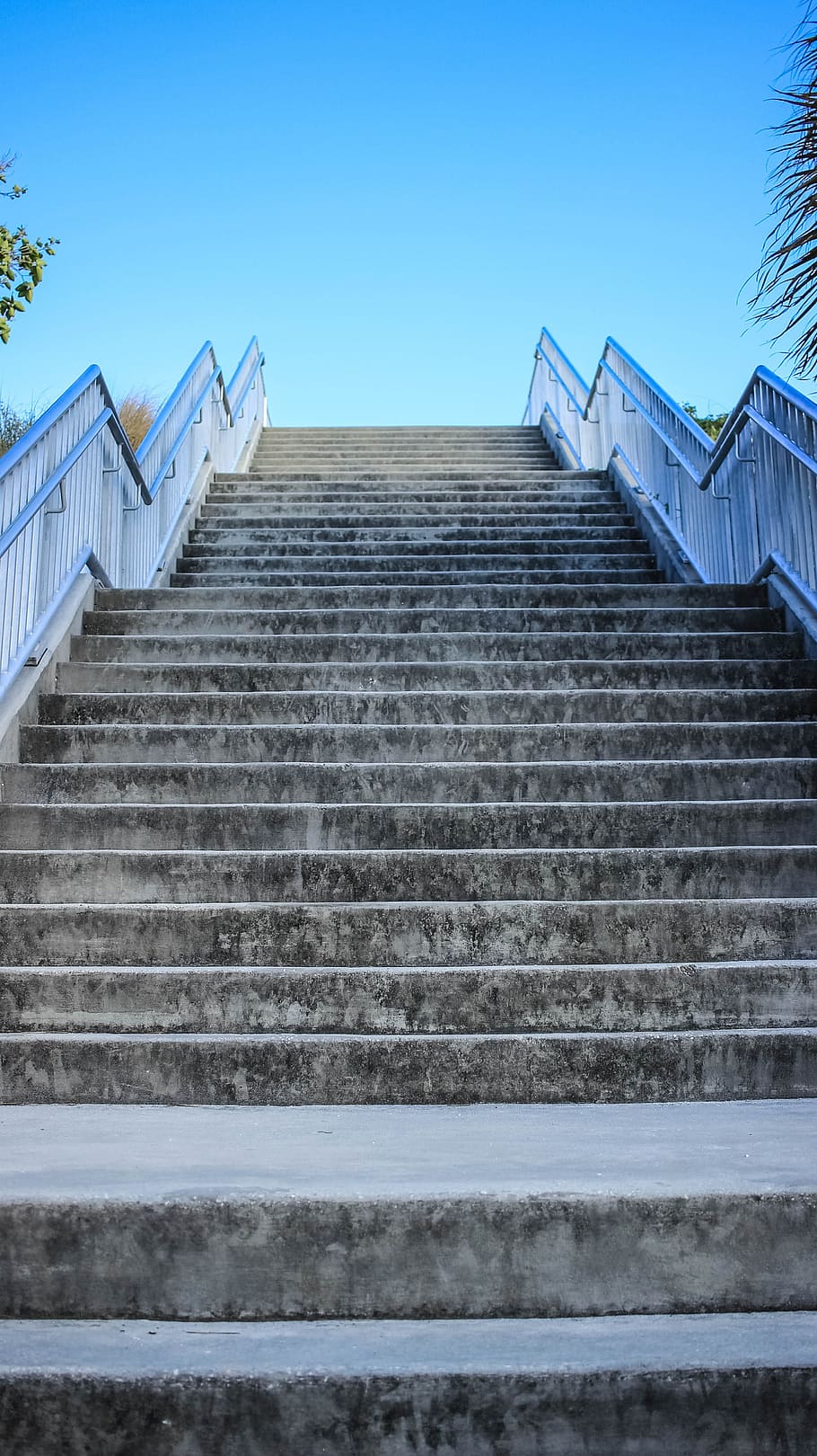 stairs, steps, sky, growth, business, climbing, stairway, architecture, staircase, steps and staircases