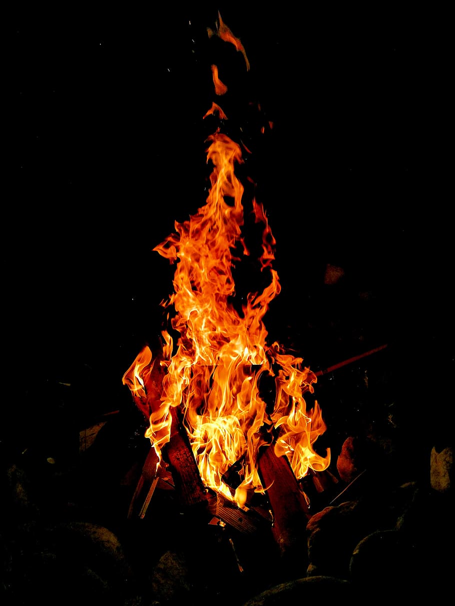 api, api unggun, bakar, panas, kayu, perapian, barbekyu, kayu api, pembakaran, api - fenomena alam