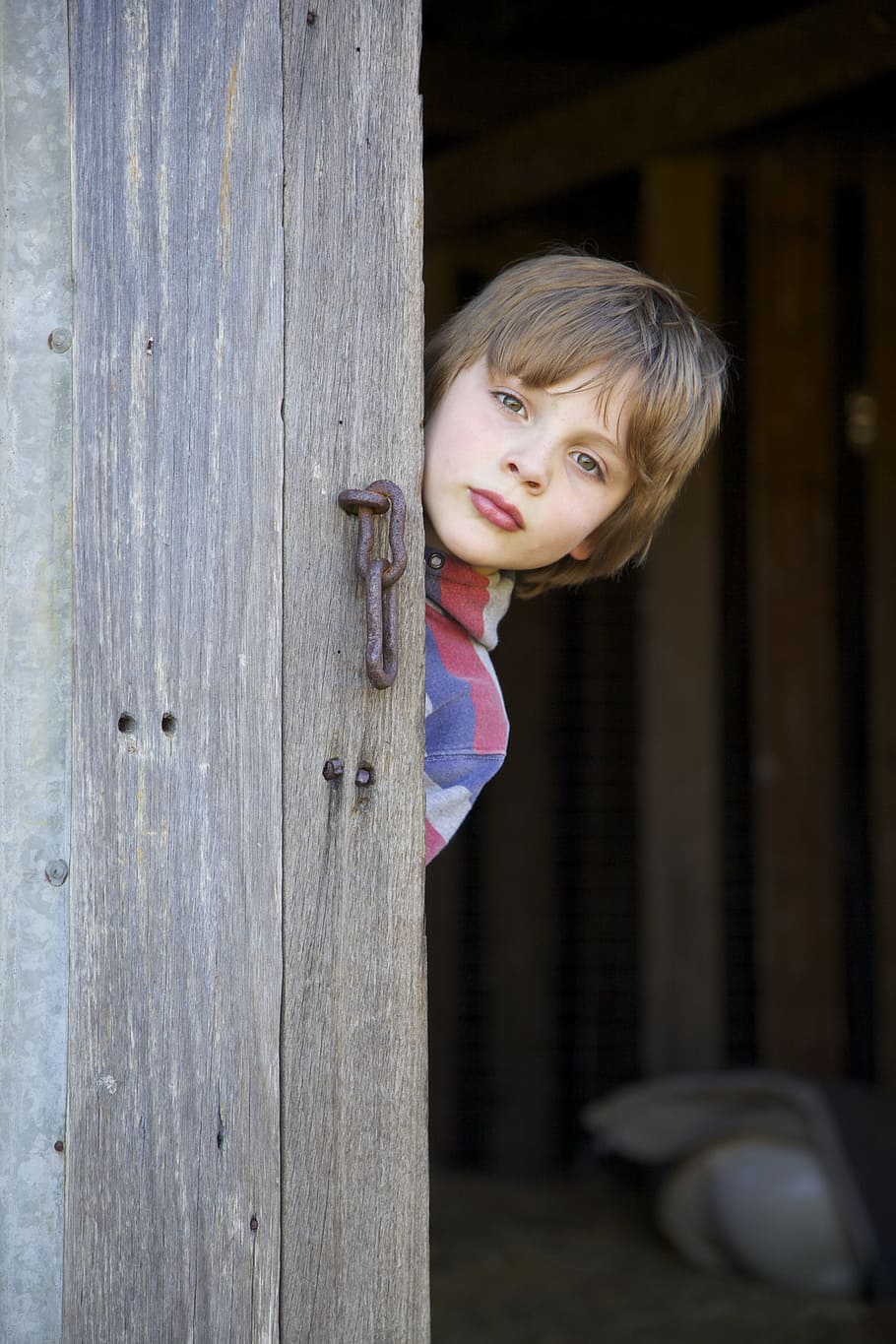 boy, peeking, wall, Shed, Barn Door, shed door, barn, young boy, wooden door, entrance