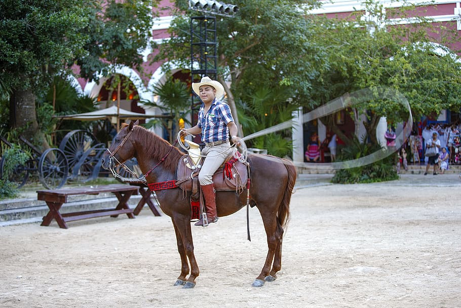 cowboy, mexico, lasso, rider, sombrero, attraction, performance, horse, saddle, agility