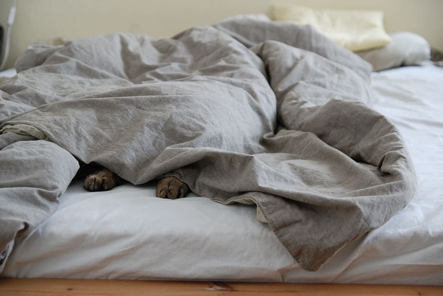 gray, comforter, bed, sunday, lazing around, lazy, cozy, sleep, blanket, duvet