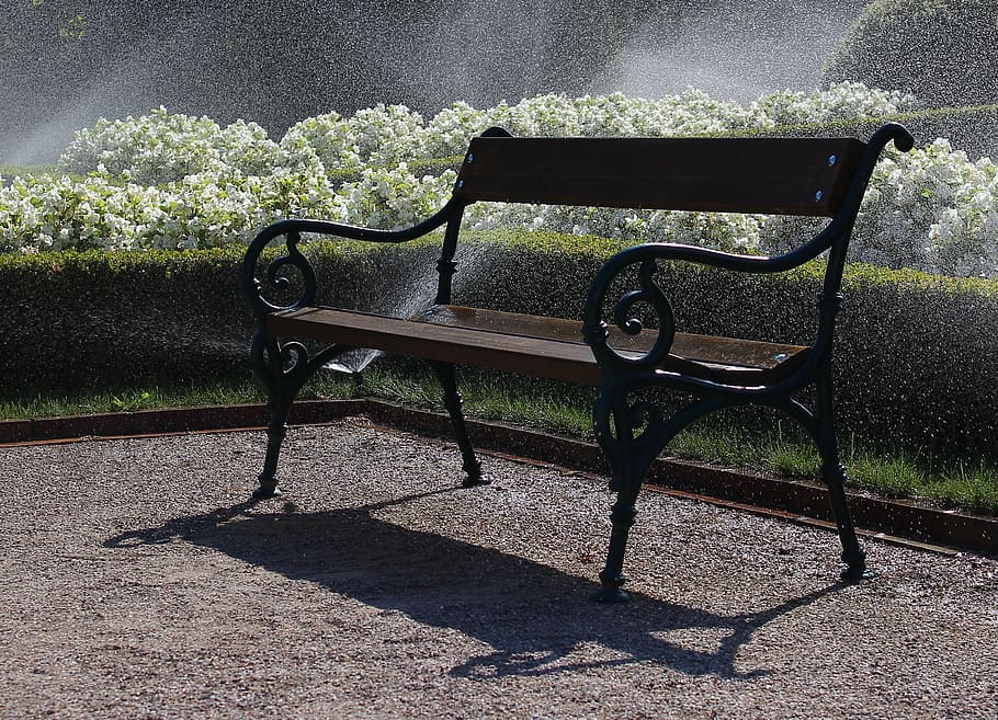 bench, park, water, seat, empty, sunlight, absence, nature, shadow, day