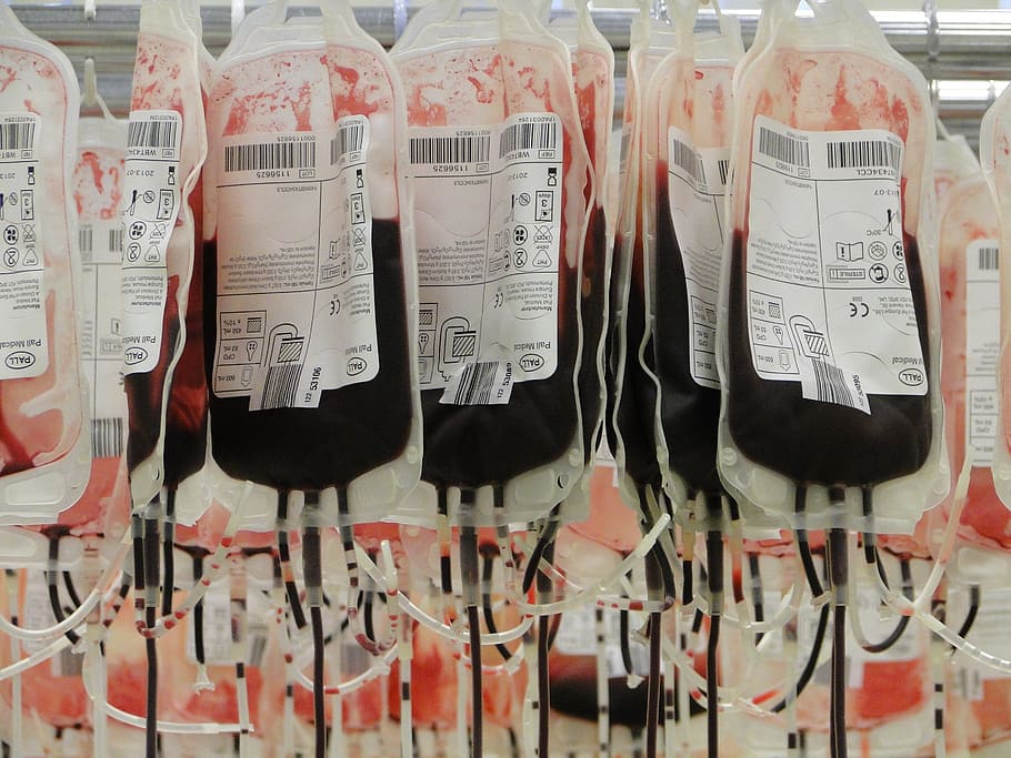 saco, lote de sangue, bolsas de sangue, vermelho, glóbulos vermelhos, doadores de sangue, texto, ninguém, dentro de casa, comunicação