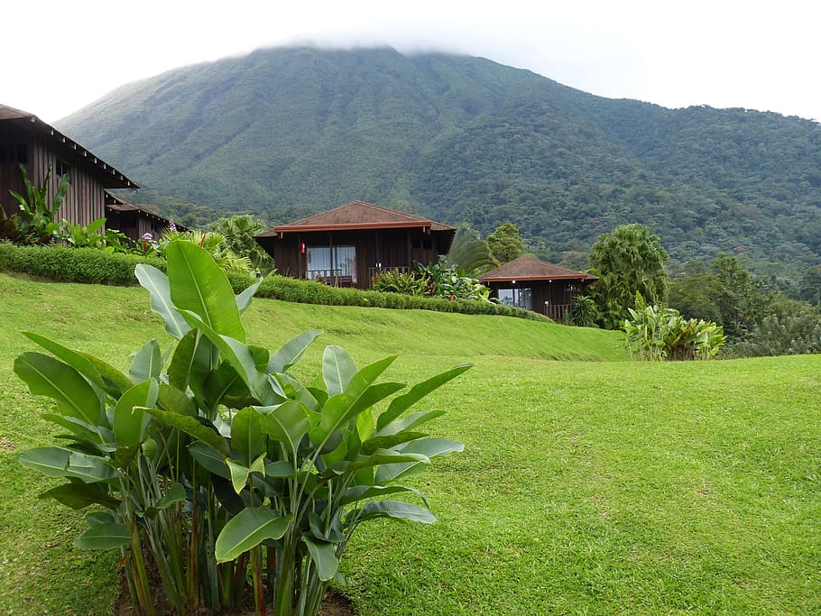 house, surrounded, trees, volcano, arenal, costa rica, central america, tropics, tropical, loeodge
