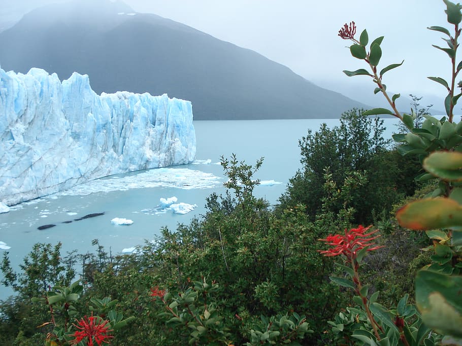 iceberg, ice, glacial, lake, glacier, iceland, i iceberg, climate change, plant, beauty in nature