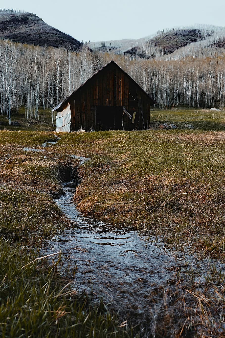 brown wooden barn, colorado, barn, wooden, farm, rustic, mountains, landscape, forest, trees