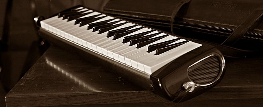 melodica, melodion, suzuki pro-37, musik, piano, Alat musik, piano Key, peralatan musik, seni budaya dan hiburan, kunci piano