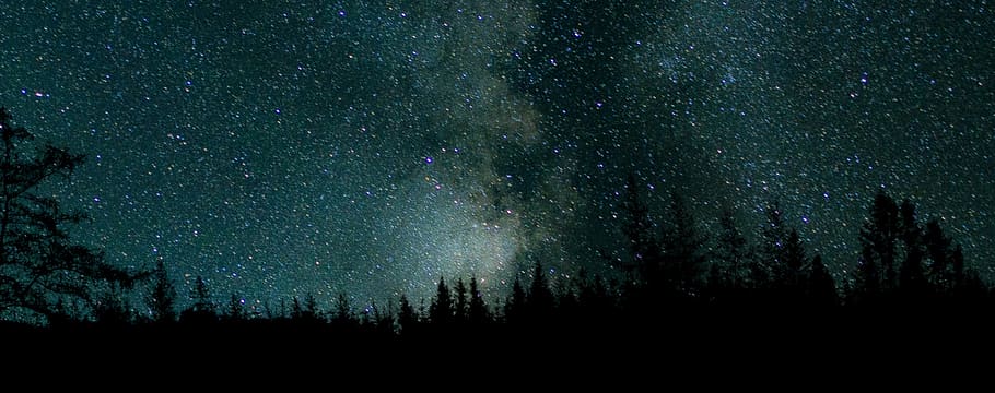 nature, night, stars, galaxy, constellation, astronomy, forest, trees fir trees, silhouette, star - space