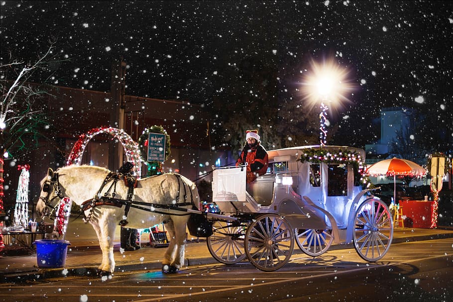 hombre, sentado, carro, noche, carro de caballos, navidad, invierno, nevando, transporte, modo de transporte