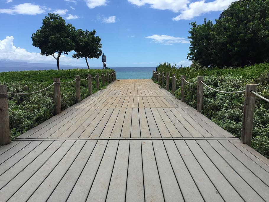 boardwalk, maui, ocean, tourism, landscapes, beach, sand, hawaii, nature, birds