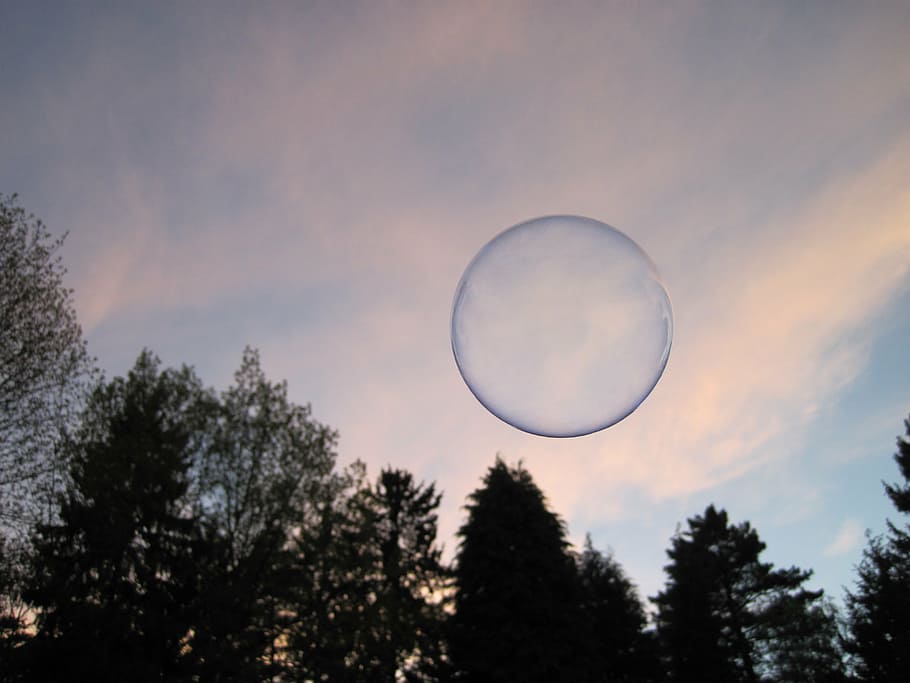 bubble, flew, mid, air, soap bubble, shimmer, sky, trees, forest, fly