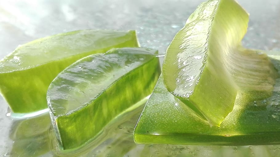 aloe, aloe vera, aloe vera leaf, cut aloe leaf, food and drink, food, green color, freshness, close-up, leaf