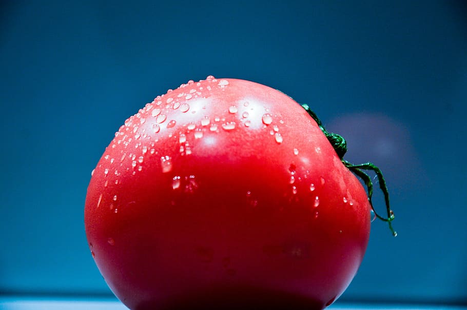 bulat, merah, fotografi makro buah, dangkal, fokus, fotografi, tomat, sayuran, makanan, sehat
