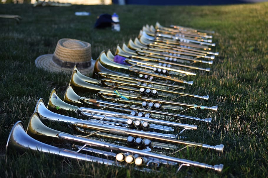 music, musical instruments, horns, brass, band, marching, grass, field, trumpet, day