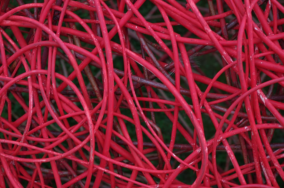 red, hazel, twigs, woven, entwined, nature, natural, tree, garden, wood