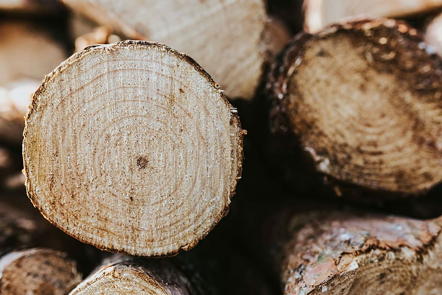 wooden logs, Wooden, logs, wood, forest, trunks, timber, lumber Industry, log, wood - Material
