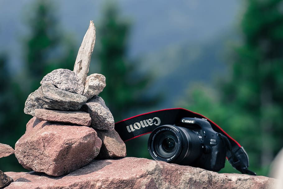 resting, rocks, outdoor, setting, DSLR camera, technology, camera, outdoors, nature, equipment