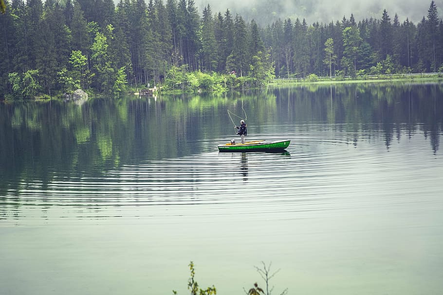 Hombre, verde, canoa, medio, lago, paisaje, fotografía, mujer, barco, cuerpo