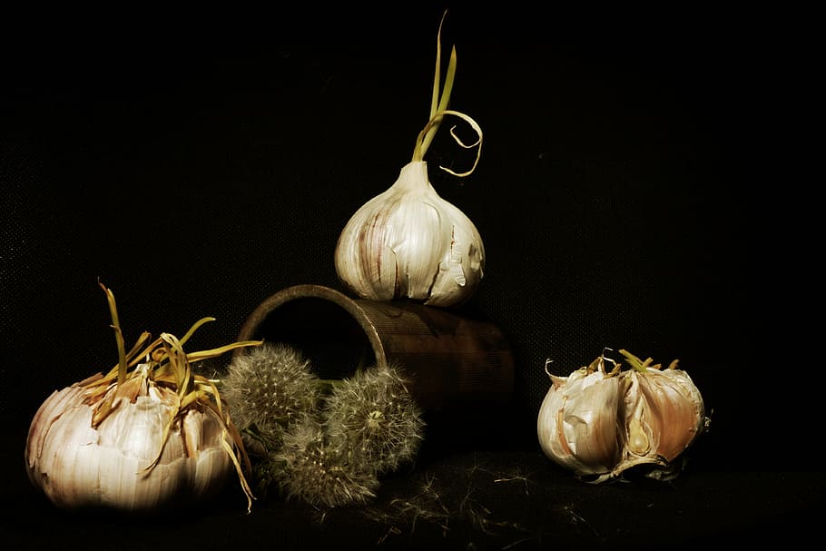 three white onions, garlic, still life, staging, calendar, dandelion, composition, table, black background, studio shot