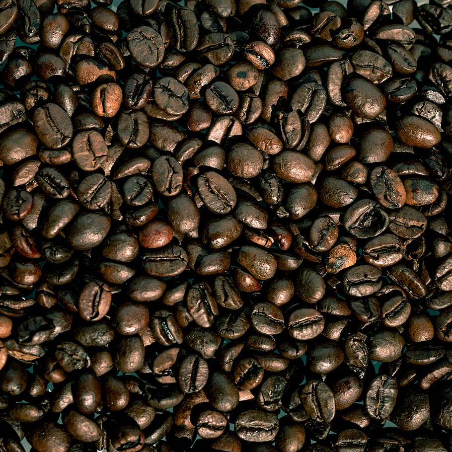 café, frijoles, espresso, cafeína, bebida, capuchino, marrón, mañana, desayuno, aroma
