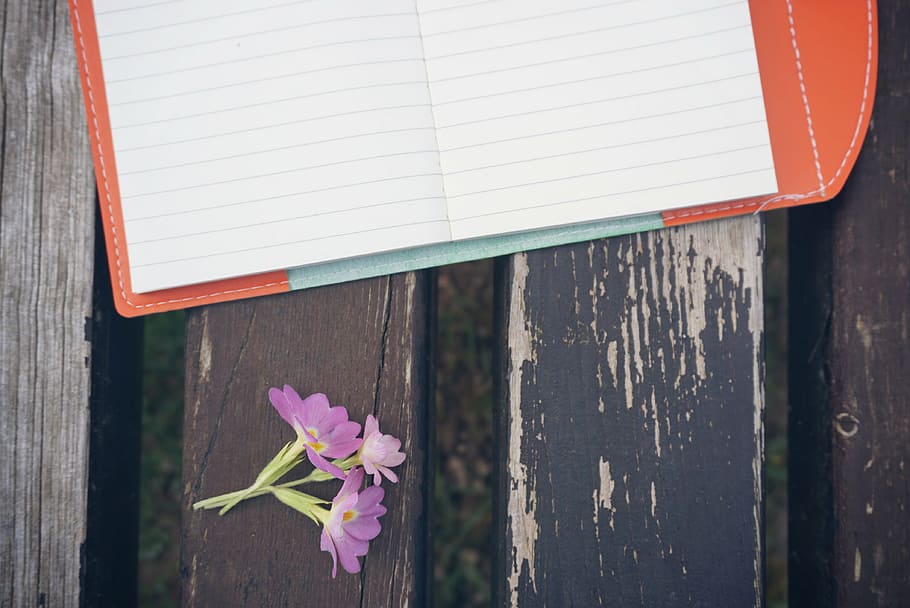 roxo, flor de pétalas, ao lado, branco, papel para impressora, banco, flor, caderno, caneta, madeira