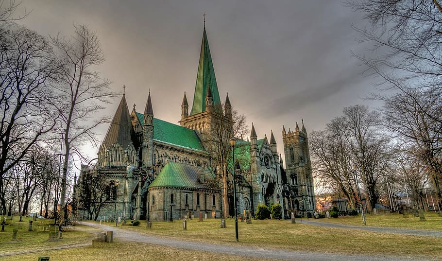 green, gray, concrete, building, bare, trees, nidaros cathedral, trondheim, norway, architecture