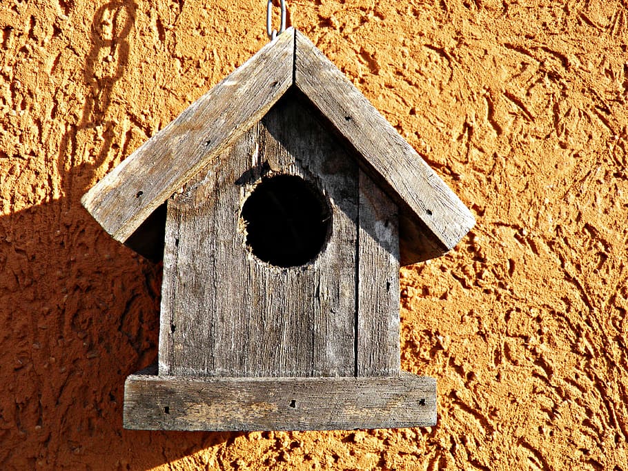 bird house, wooden, house, birdhouse, bird, animal Nest, wood - Material, nature, hole, day
