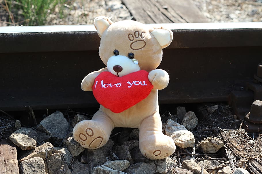 brown, bear, plush, toy, stop children suicide, teddy bear crying, railway, stop teenager suicide, stop student suicide, stop youth suicide