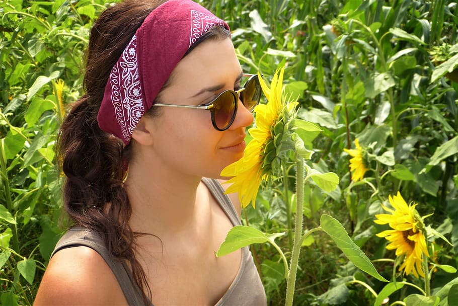 woman sniffing sunflower, girl, sun flower, field, summer, heat, sun, nature, flowers, bloom