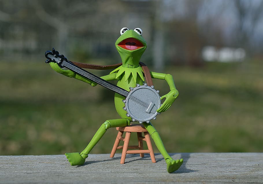 kermit, frog, playing, banjo, muppet, puppet, toy, childhood, green, amphibian