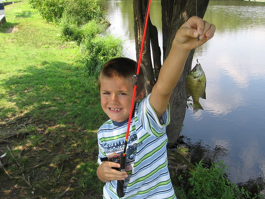fishing, fish, boy, fishing pole, pond, catch, sport, rod, angler, freshwater