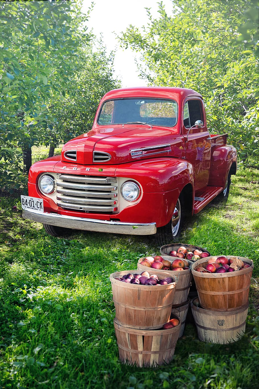 vintage, vermelho, caminhão, pomar de maçã, maçãs, colheita, outono, clássico, antigo, veículo terrestre