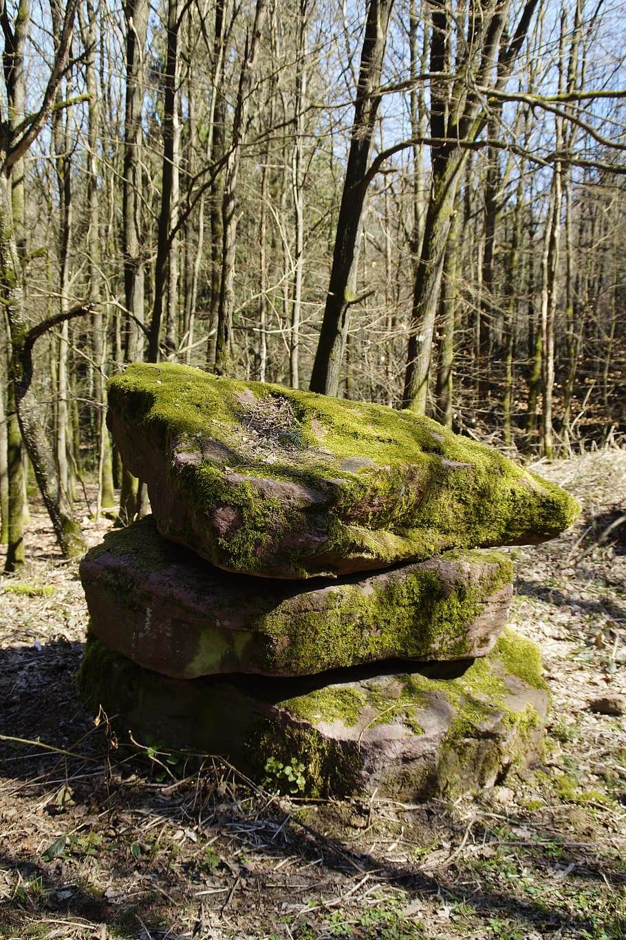 nature, wood, tree, landscape, moss, stone, mossy, foundling, stacked, sand stone