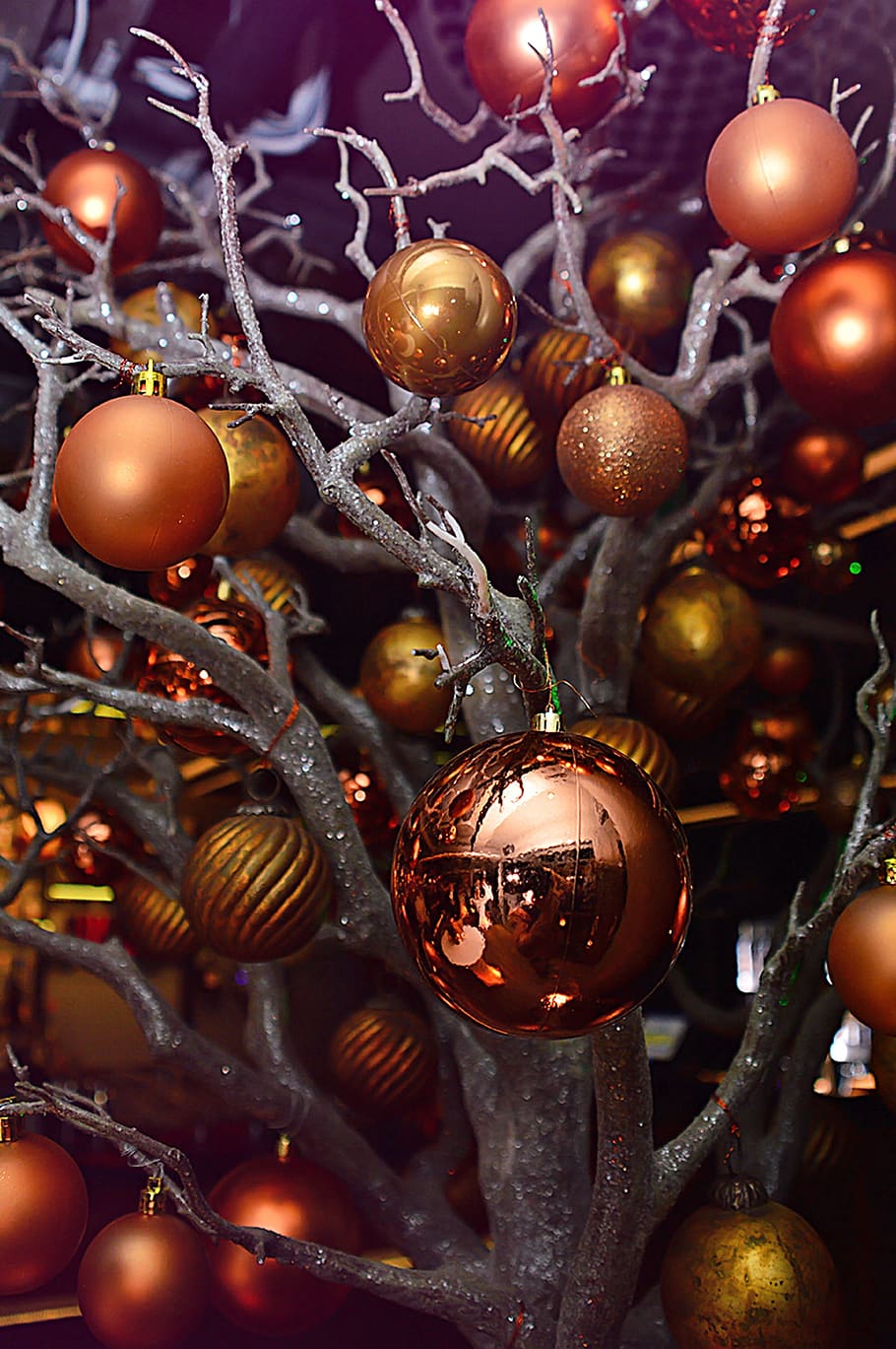 selective, focus photography, assorted-color bauble lot, hanged, tree, xmas, glitter, winter, light, celebration