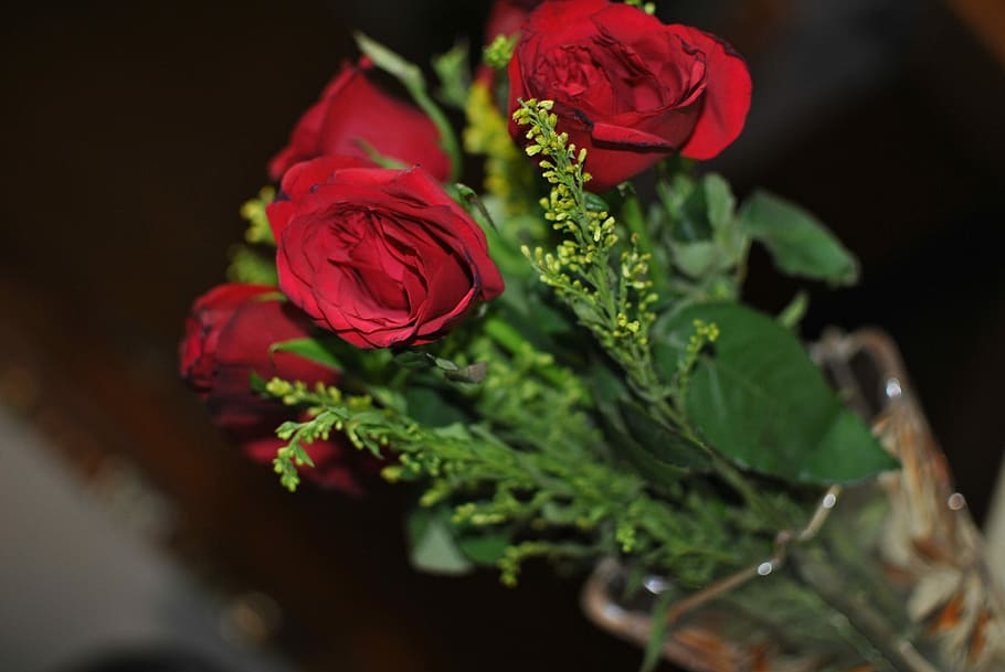 Flor, rojo, verde, amor, rosa, decoración, racimo, pétalo, romántico, romance