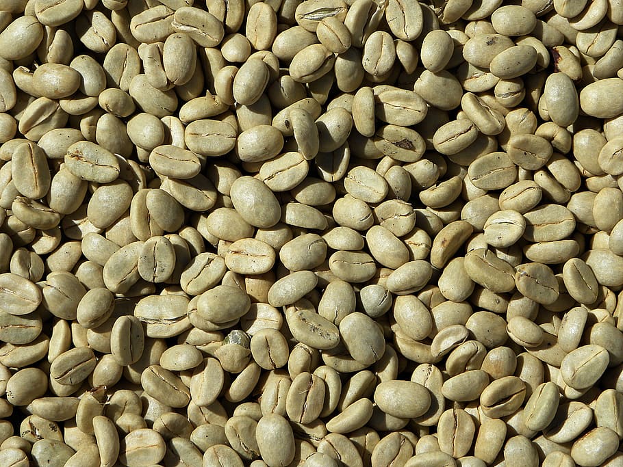 bunch, brown, nuts, green coffee, coffee beans, coffee, arabica, costa rica, full frame, large group of objects