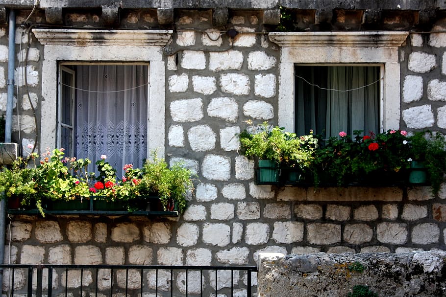 dubrovnik, window, flower, beautiful, home, composition, aesthetics, buildings, decorative, travel
