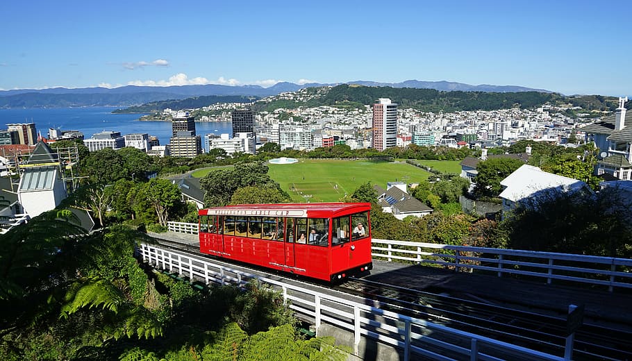 red train ahead, wellington, cable car, new zealand, city, north island, capital, architecture, high angle view, outdoors