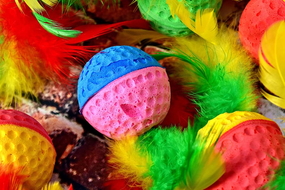 colorful, color, foam rubber, balls, feather, background, bright, cat toy, multi colored, celebration