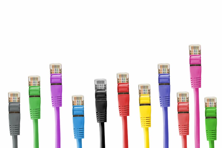 cabos ethernet de cores sortidas, cabos de rede, conector de rede, cabo, remendo, cabo de remendo, rede, linha, fs, processamento de dados